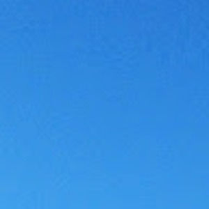 Meet your Posher, Nora